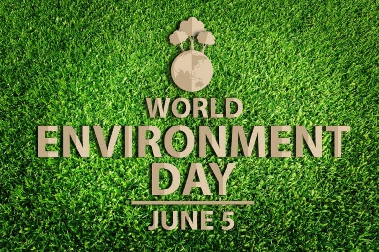 World Environment Day, 5th June 2017 PIA