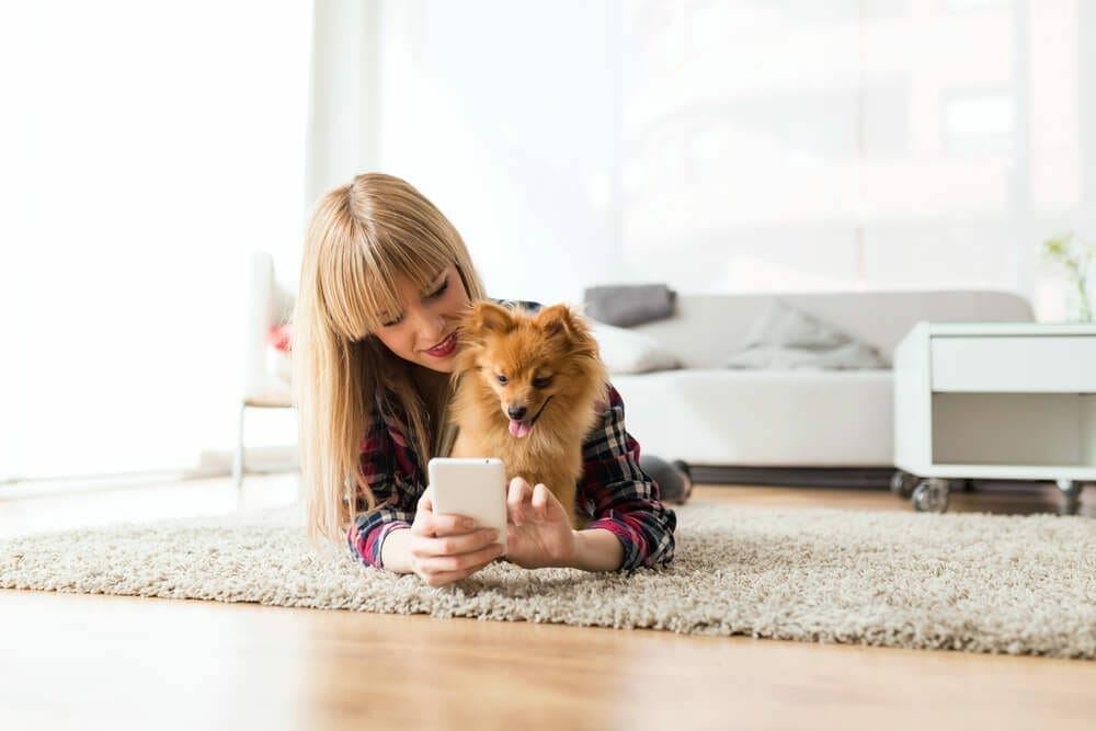 2018-top-10-pet-apps